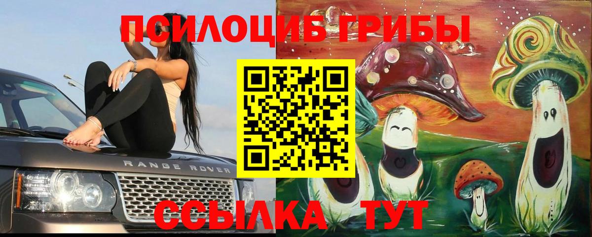 Галлюциногенные грибы Psilocybine cubensis  Галлюциногенные грибы мицелий  Йошкар-Ола  Вход с VPN 