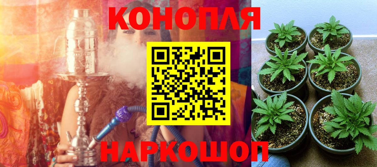 Бошки Шишки Bruce Banner  Вход с VPN  Йошкар-Ола  Каннабис Ganja 